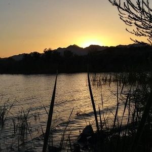 Meet your Posher, Jayne